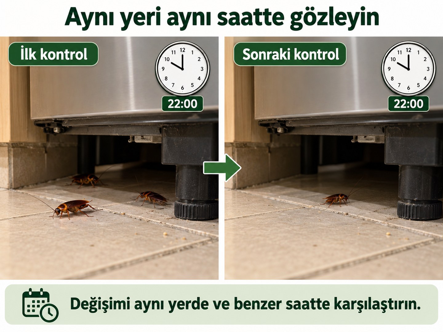 Aynı saatte aynı noktadaki böcek hareketinin karşılaştırılması