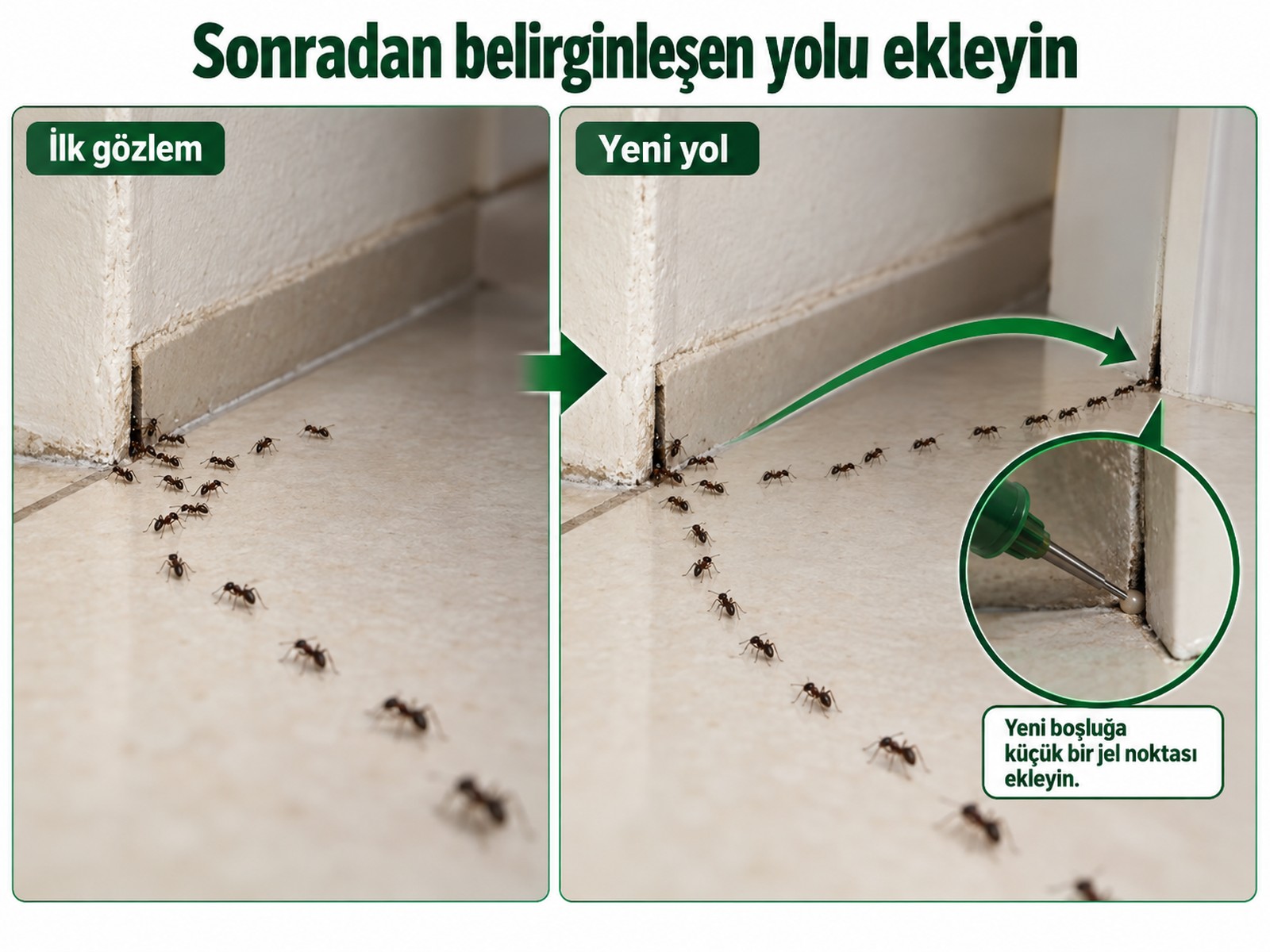İlk uygulama sonrası belirginleşen yeni yolun plana eklenmesi