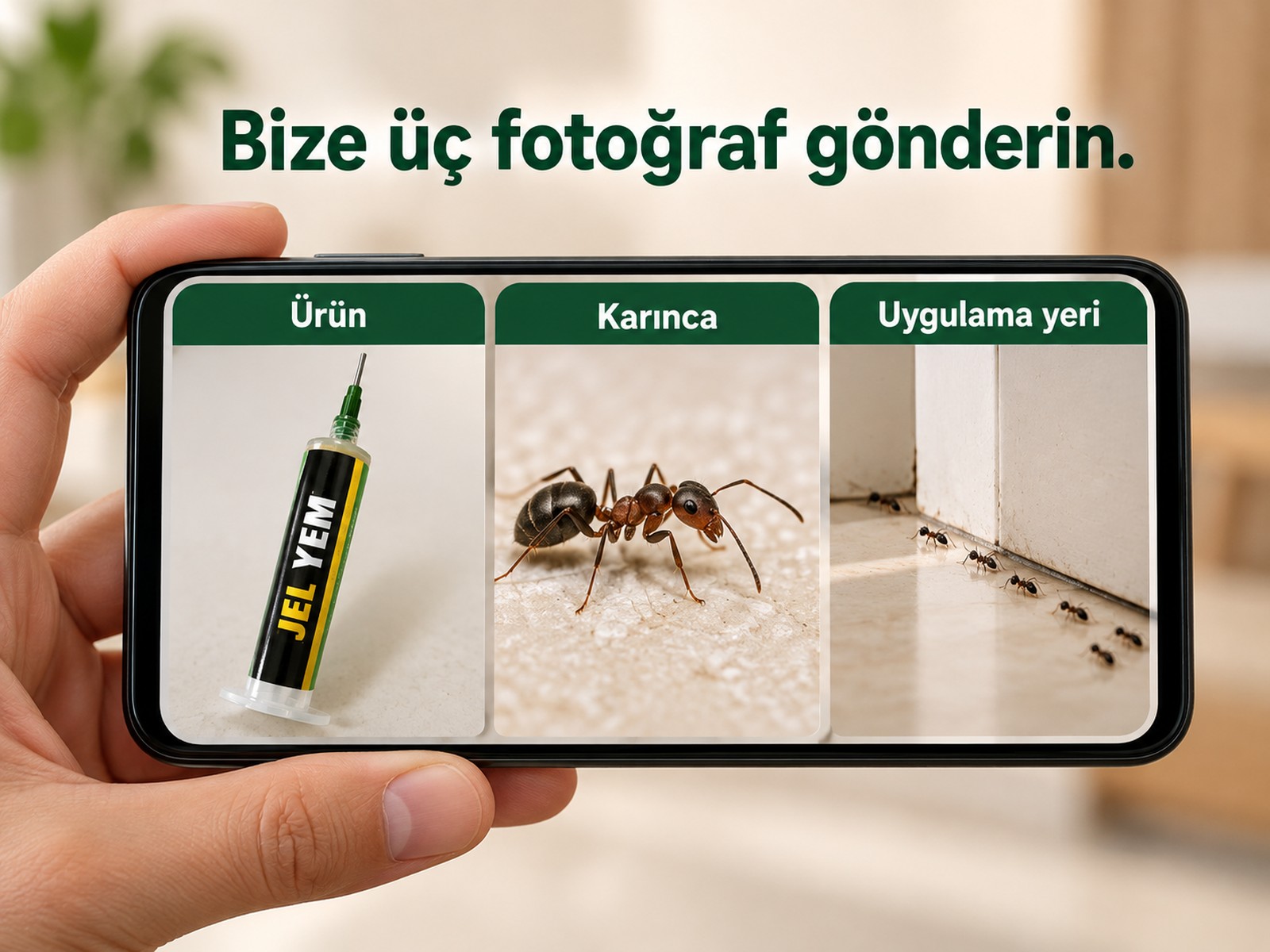 Ürün, karınca ve uygulama yerinin destek için fotoğraflanması