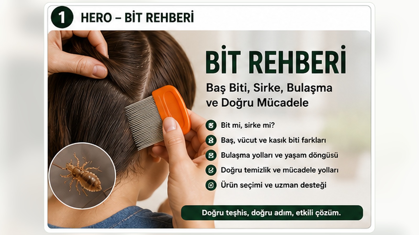 Baş biti, sirke ve saç kontrolü için Bit Rehberi
