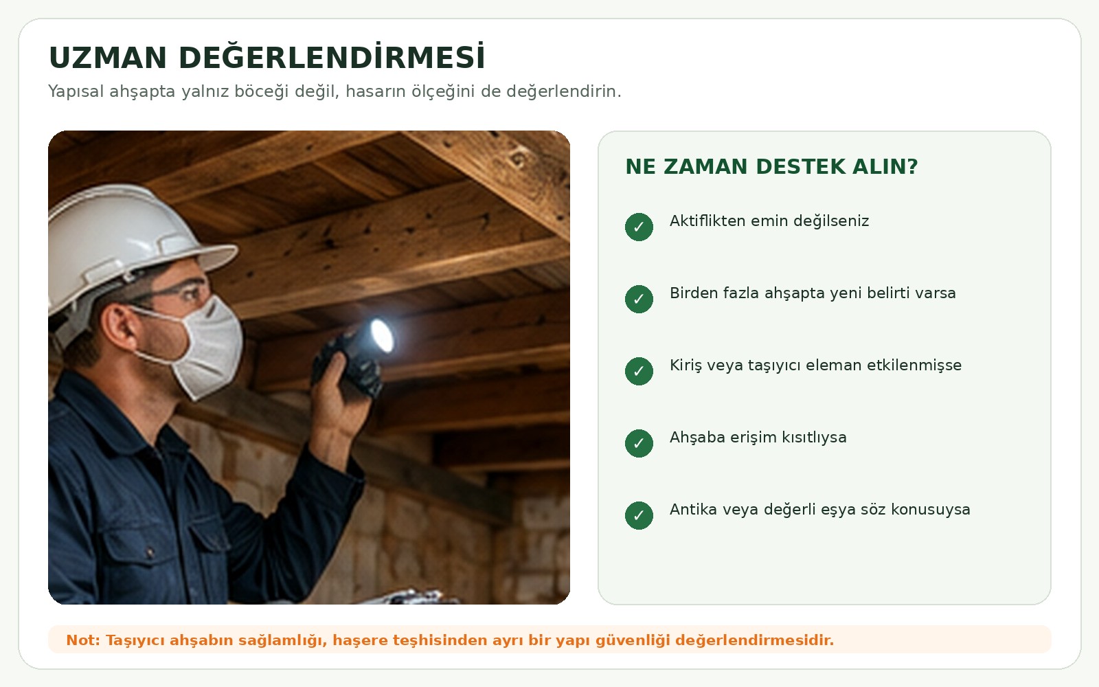 Ahşap kurdu için uzman değerlendirmesi, mobilya, parke ve yapısal kiriş analizi