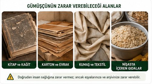Gümüşçünün zarar verebileceği kitap karton kumaş ve nişastalı alanlar