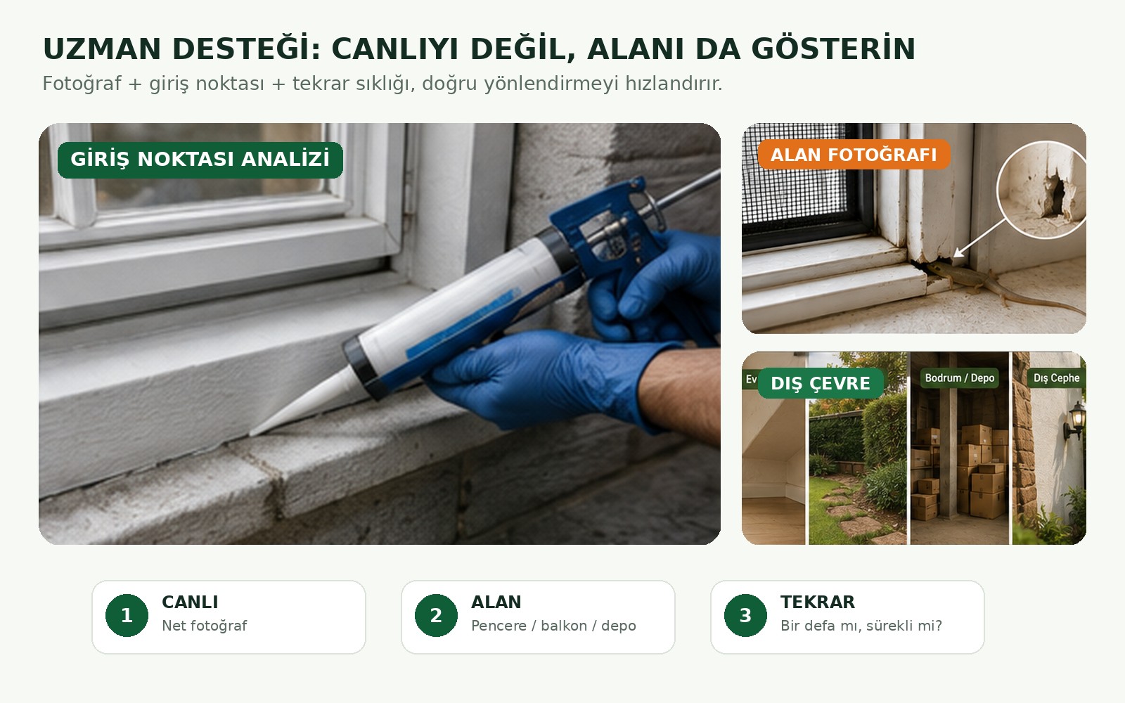 Kertenkele sorunu için uzman alan analizi, pencere, balkon ve dış cephe kontrolü