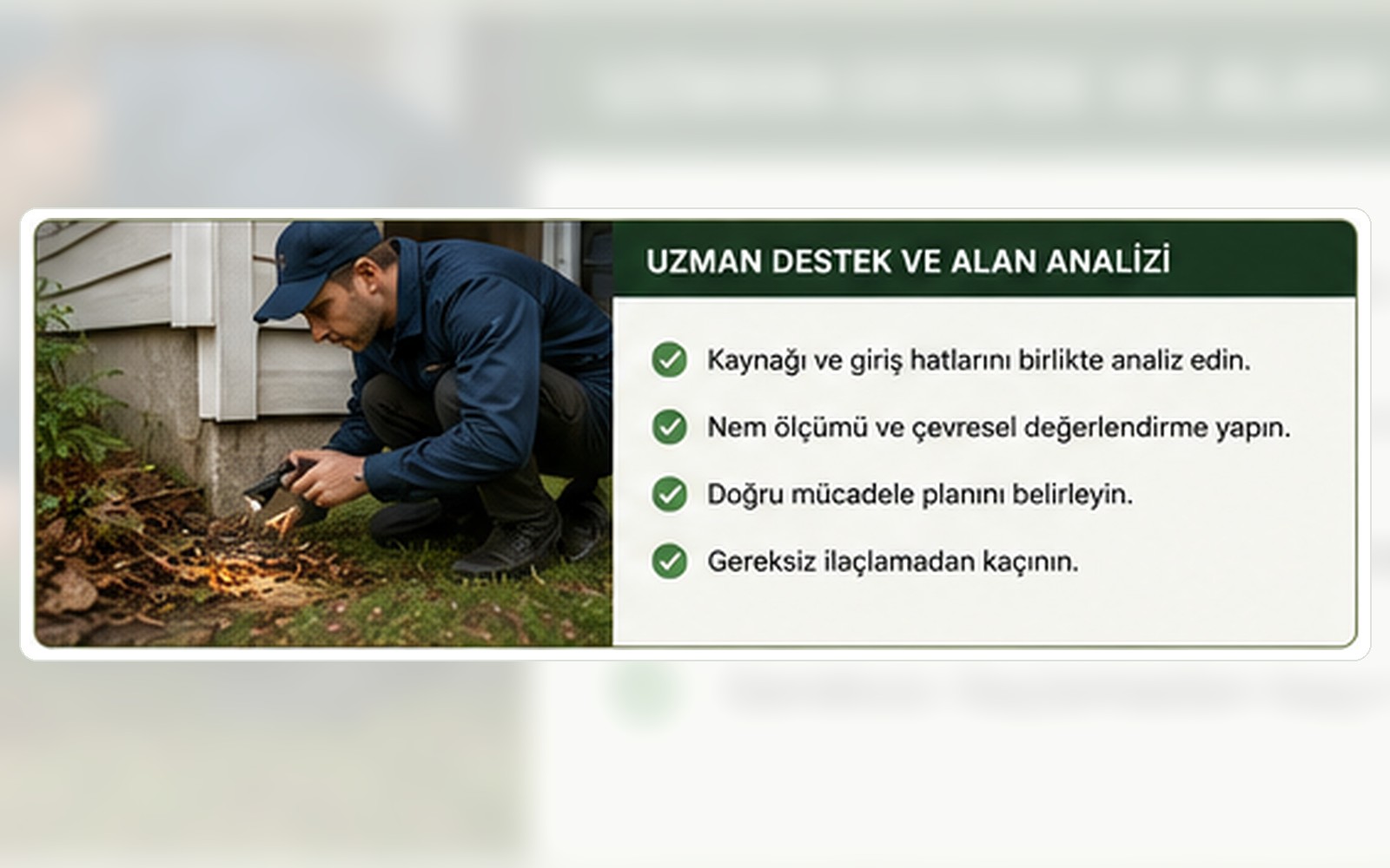 Kırkayak için uzman destek, bahçe, bina temeli ve giriş hattı analizi