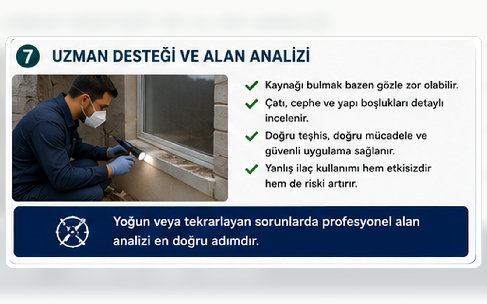 Kuş akarı sorunu için kuş yuvası, yapı giriş hattı ve uzman alan analizi