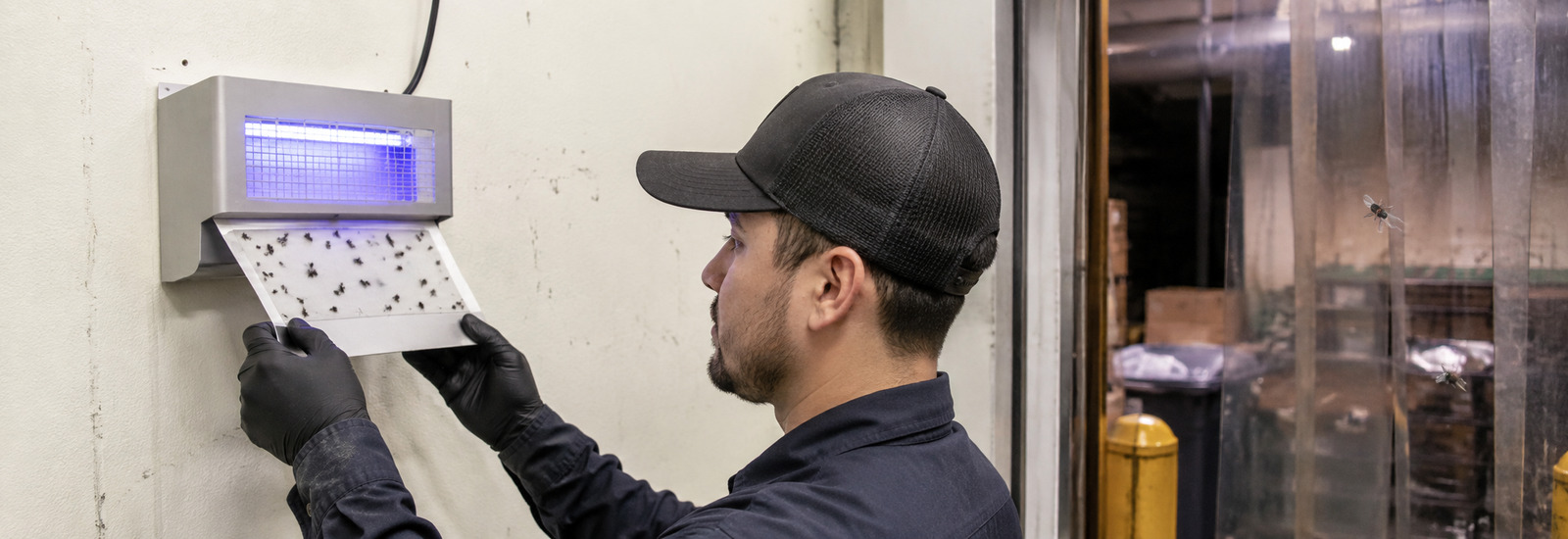 Restoran veya gıda işletmesinde karasinek EFK cihazı, servis kapısı ve hijyen kontrolü