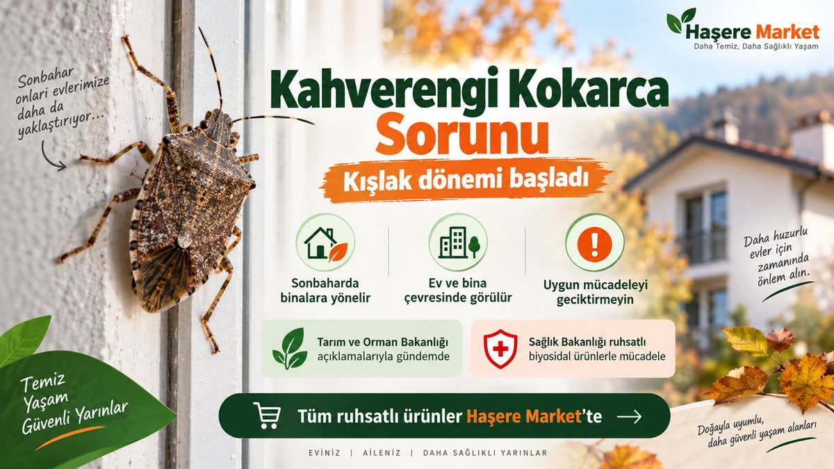 Kahverengi kokarca böceğinin sonbaharda ev ve binalara yönelmesi, kışlak dönemi ve ruhsatlı biyosidal mücadele