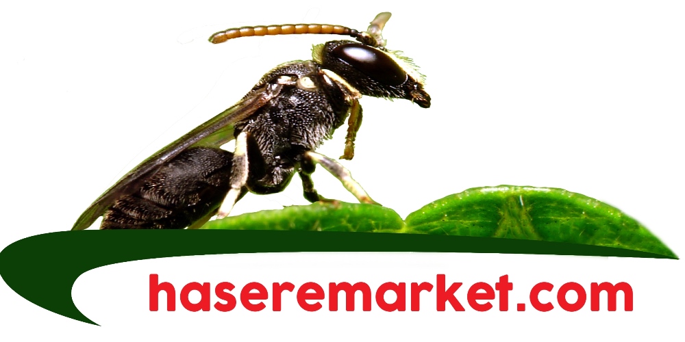 haşere market logo | haşere market fare zehiri | haşere market böcek ilacı