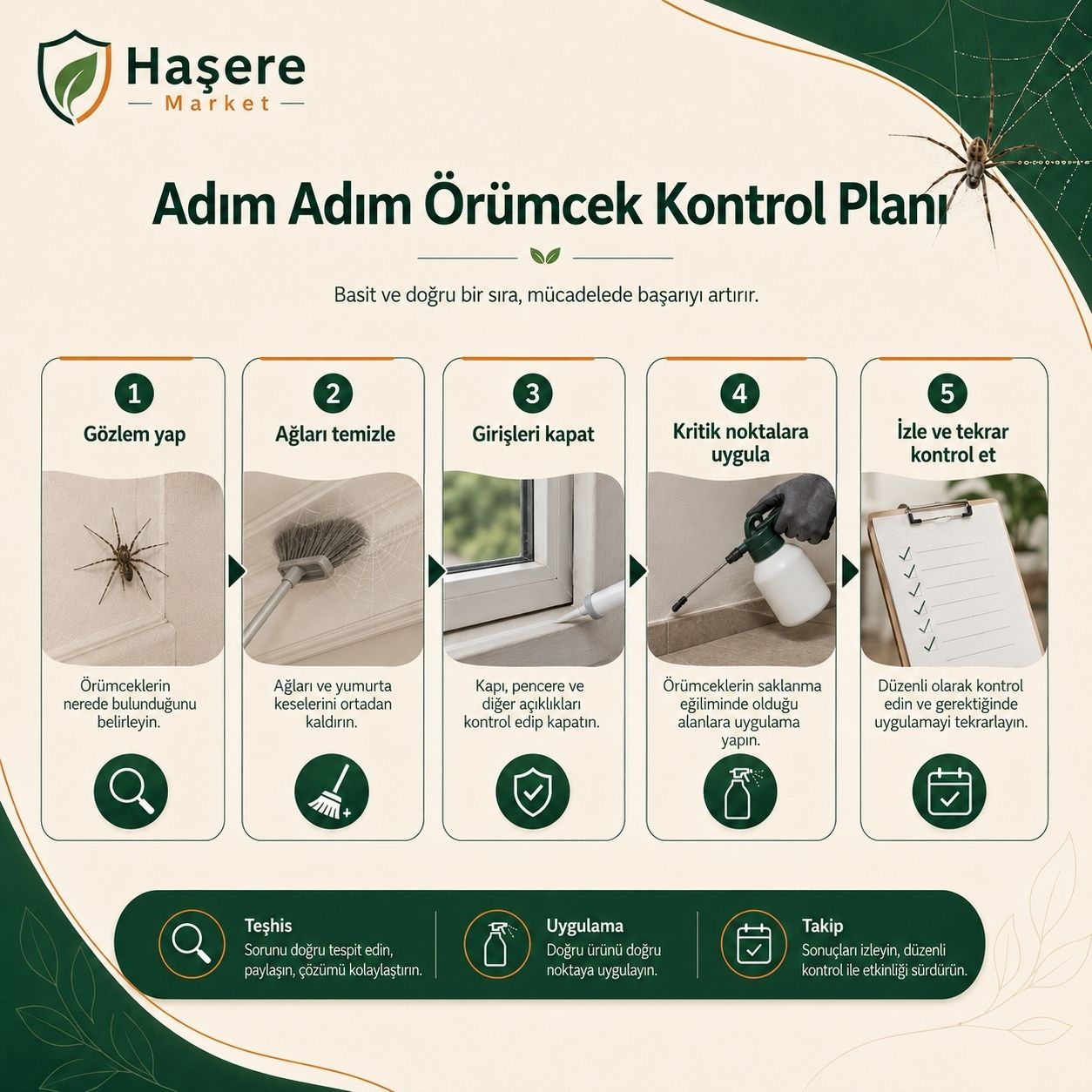 Adım adım örümcek kontrol planı