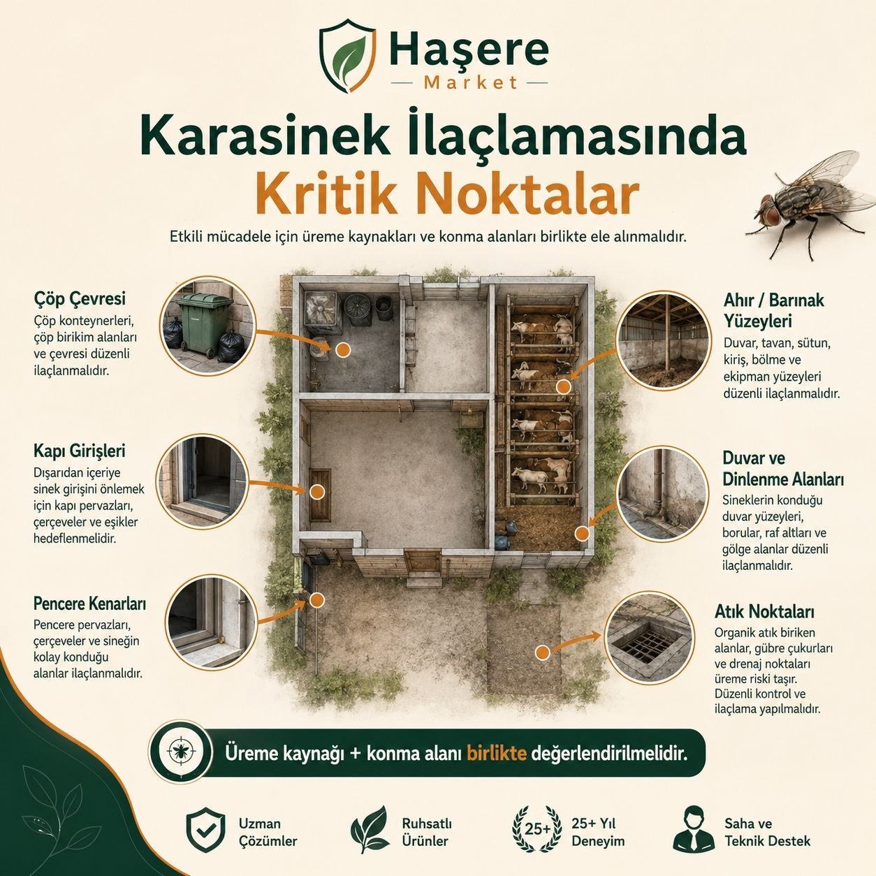Karasinek ilaclamasında kritik noktalar