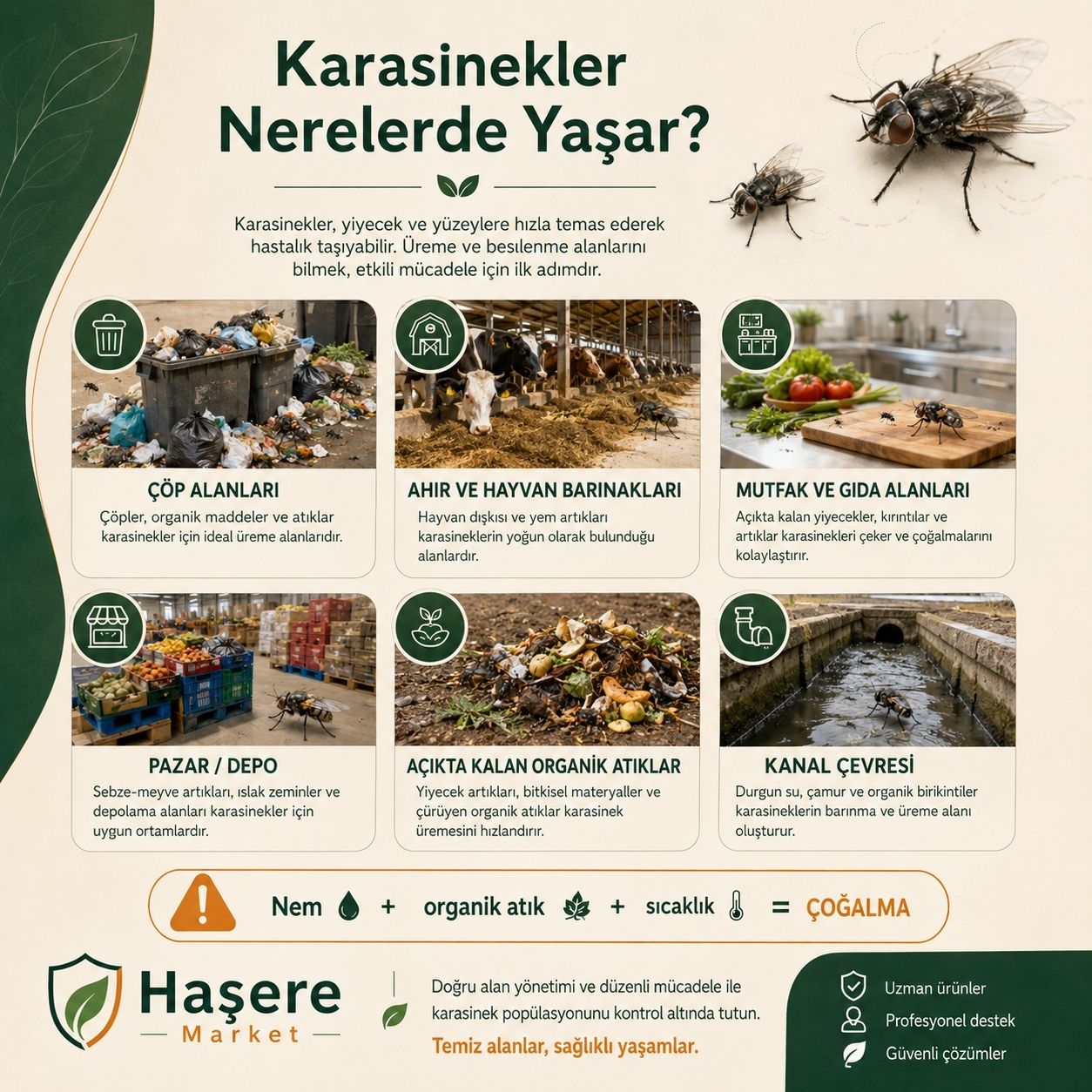 Ahır ve gübrelik karasinek çözümü