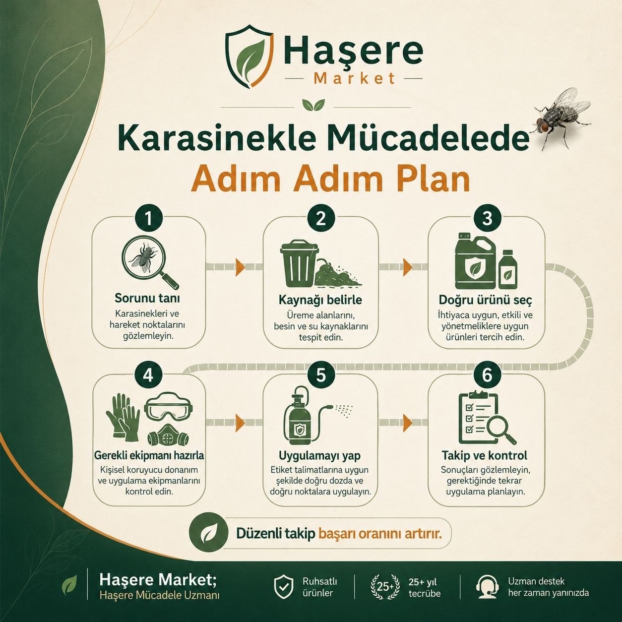 Karasinekle mücadelede adım adım plan
