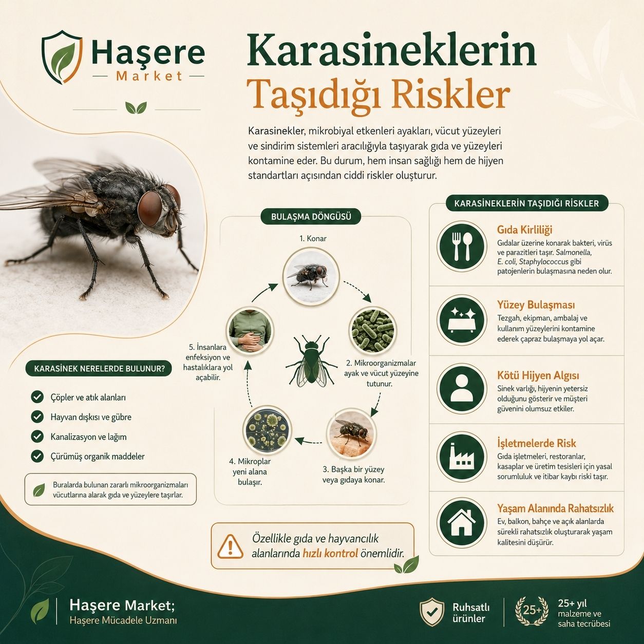 Karasineklerin taşıdığı riskler
