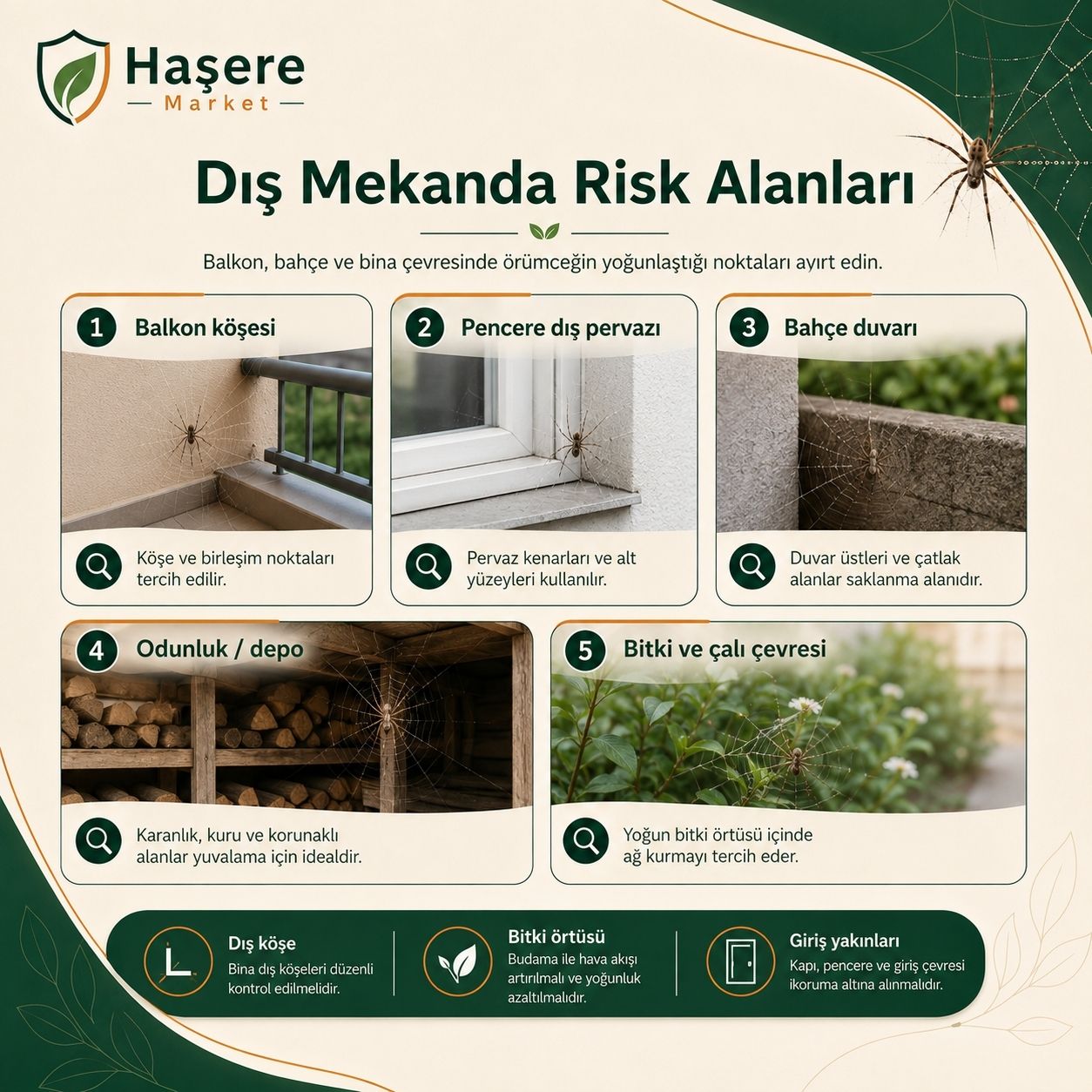 Örümcek dış mekan risk alanları
