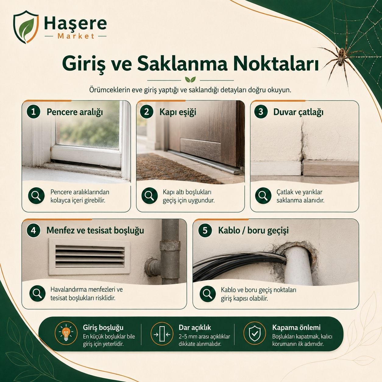 Örümcek giriş ve saklanma noktaları
