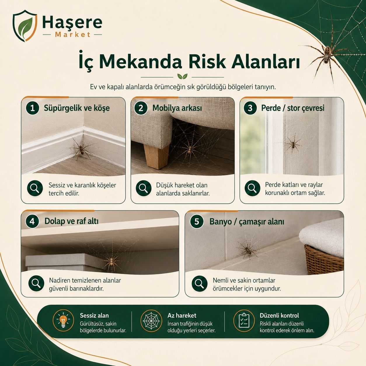 Örümcek iç mekan risk alanları