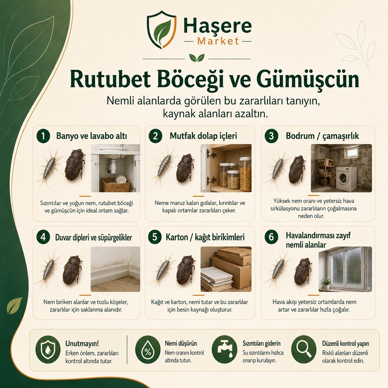 Nemli alanlarda rutubet böceği ve gümüşçün