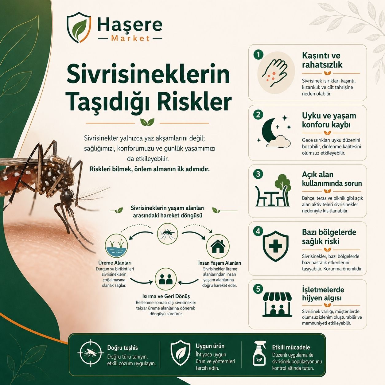Sivrisineklerin taşıdığı riskler