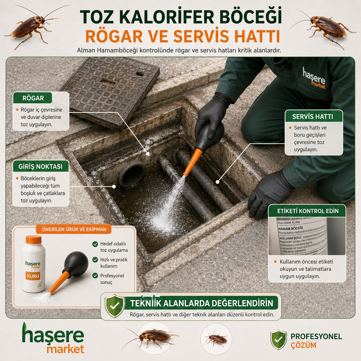 Rögar ve servis hattında toz kalorifer böceği ilacı kullanım değerlendirmesi