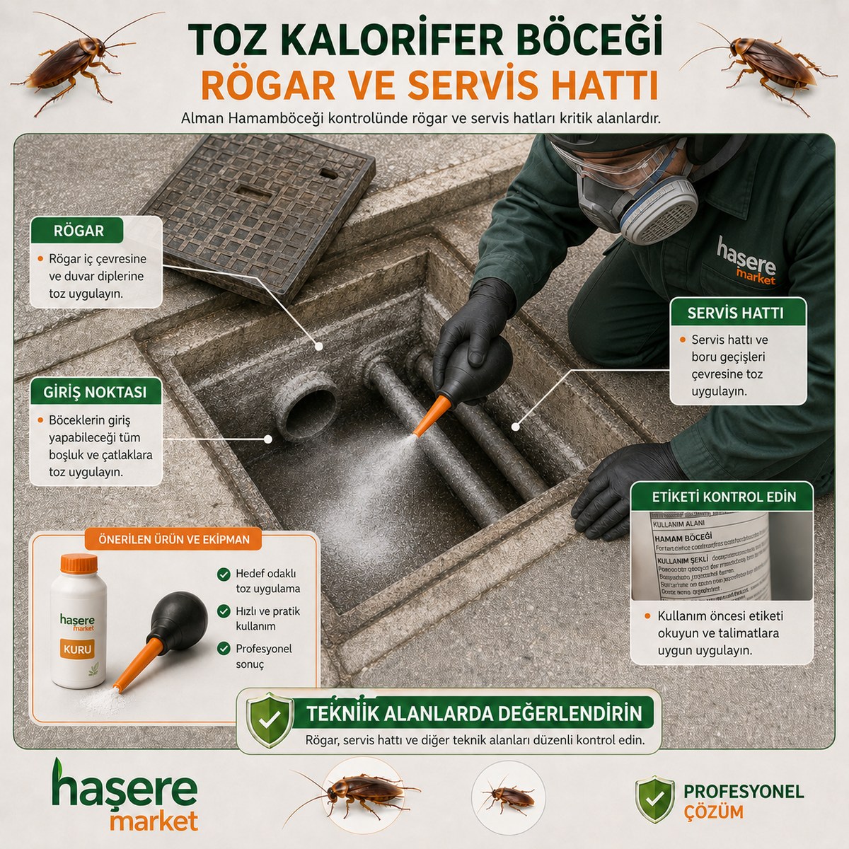 Toz kalorifer böceği uygulaması sonrası takip ve alternatif ürün kararı