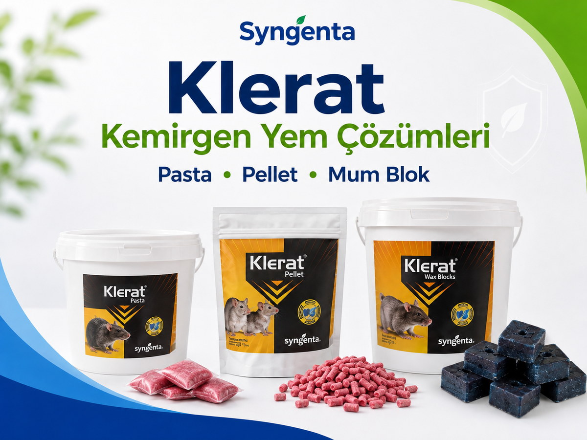 Syngenta Klerat pasta pellet ve mum blok kemirgen yemleri