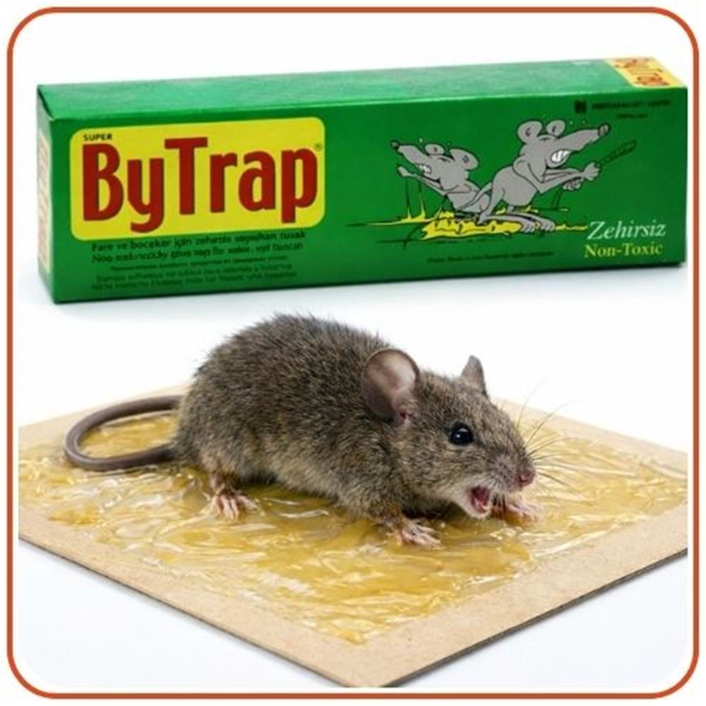 Bytrap Tüp Fare Yapışkan Tuzak | 75 ml