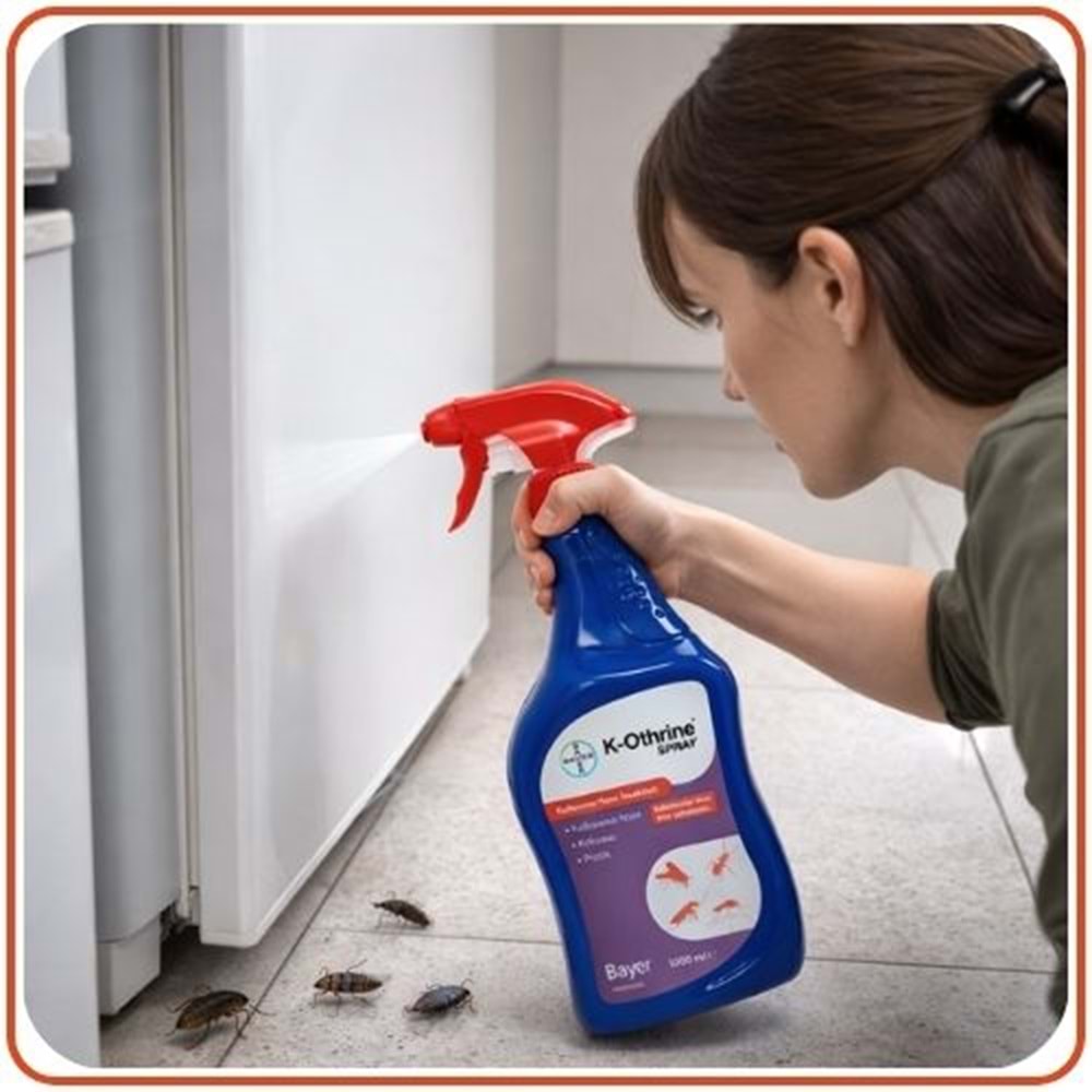 Bayer-Envu K-othrine AL Haşere Öldürücü Sprey | 500 ml