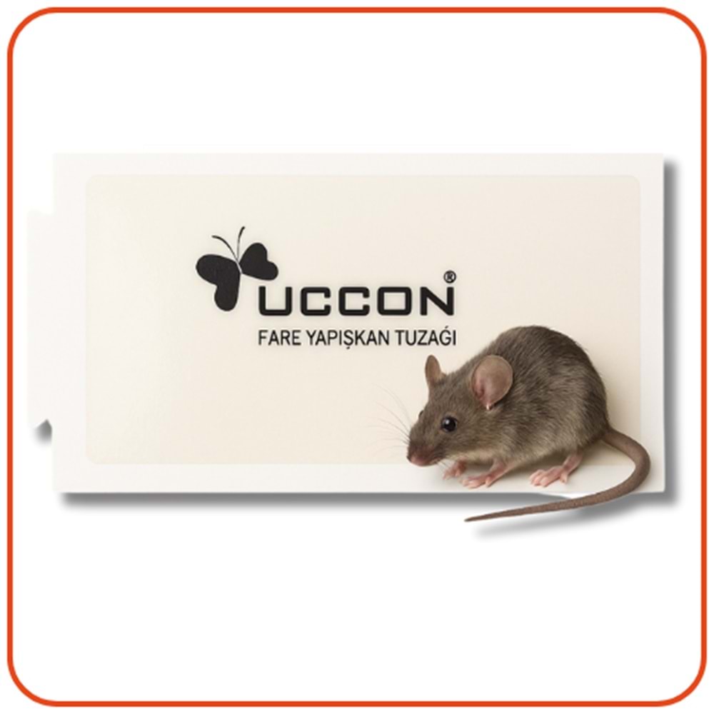 Uccon Karton Fare Yapışkan Tuzakları
