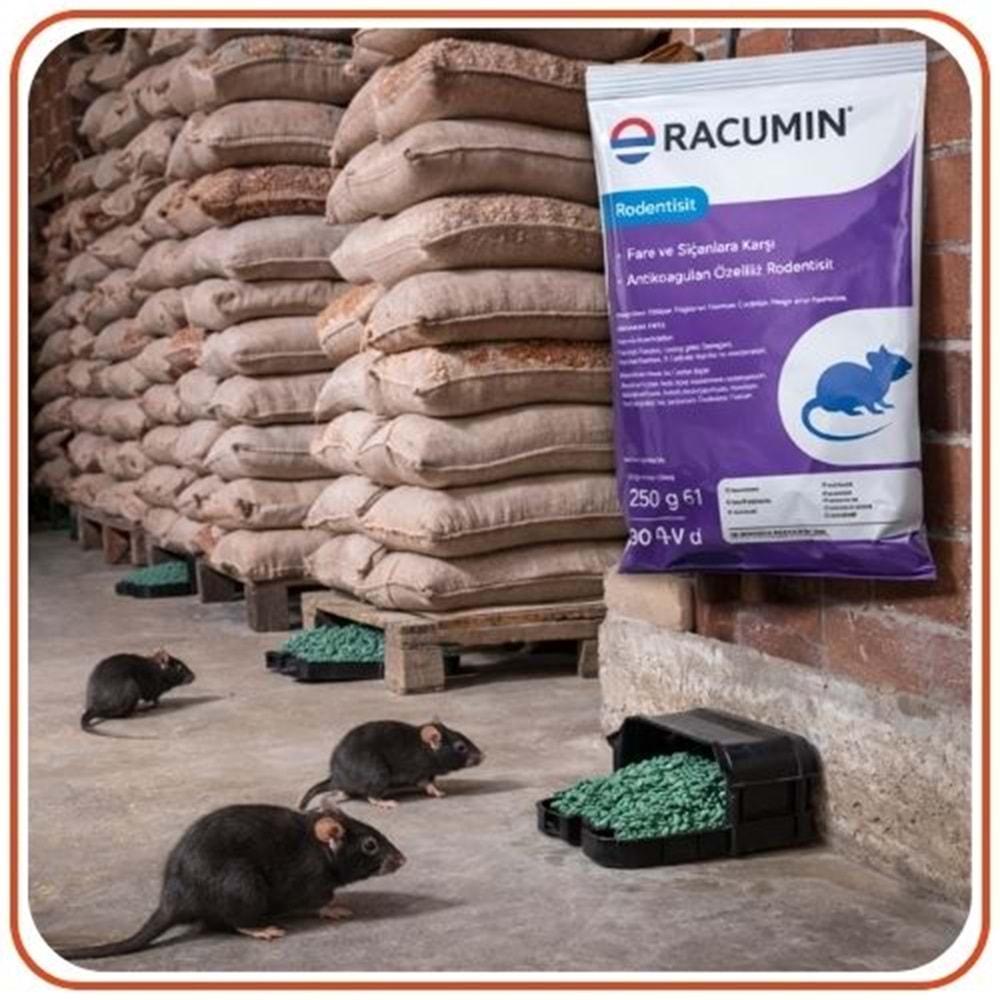 Bayer-Envu Racumin Buğday Fare Zehiri | 250 Gram