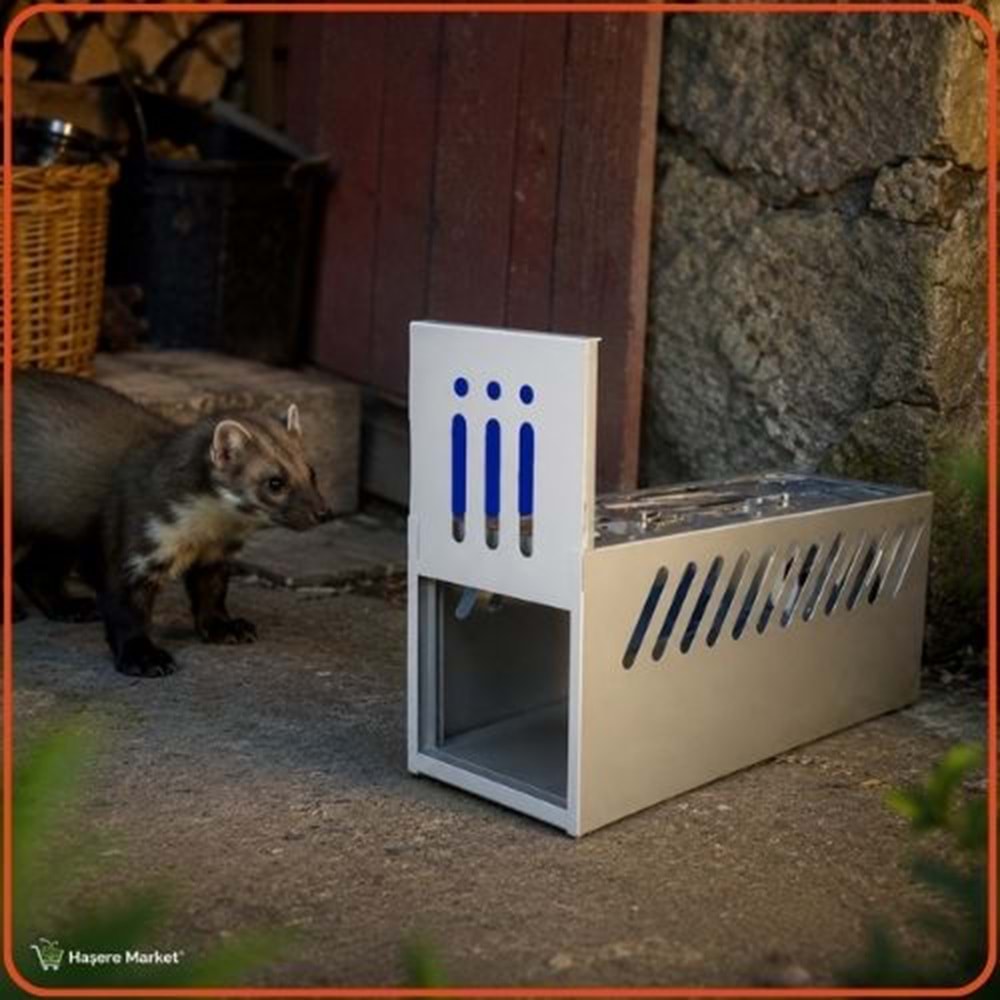Kedi Canlı Yakalama Kafesi | Gelincik Sansar