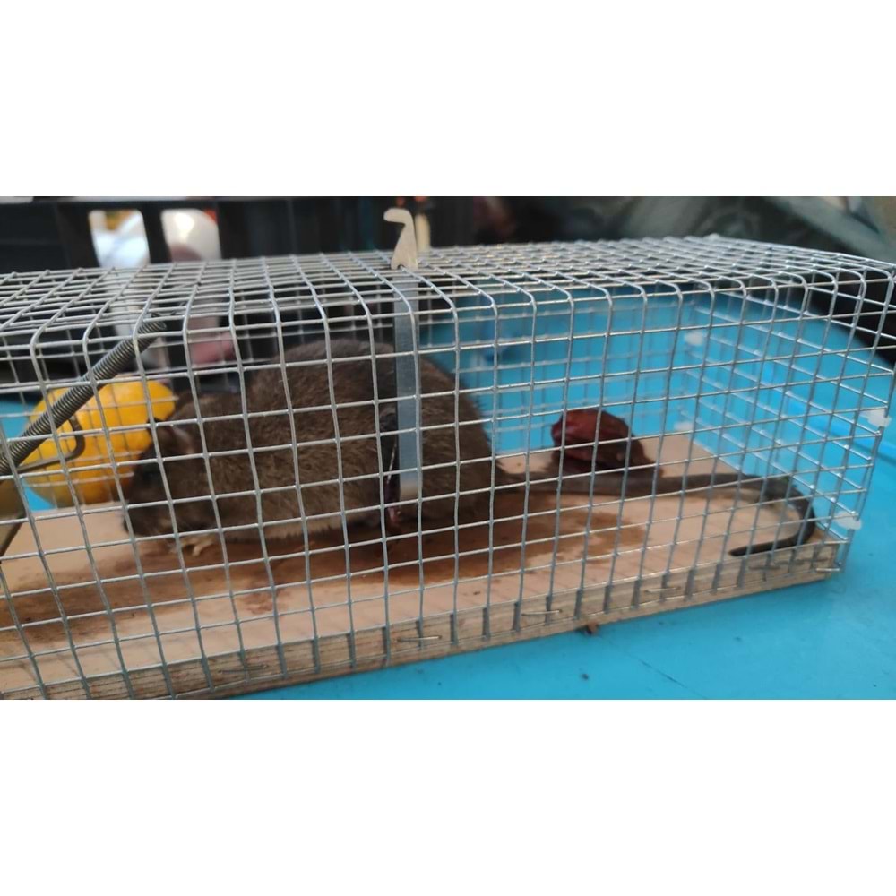 Kafes Sıçan Canlı Yakalama Kapanı