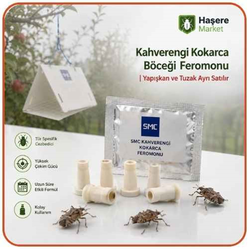 Kahverengi Kokarca Böceği Feromonu | Yapışkan ve Delta Tuzak Ayrı Satılır