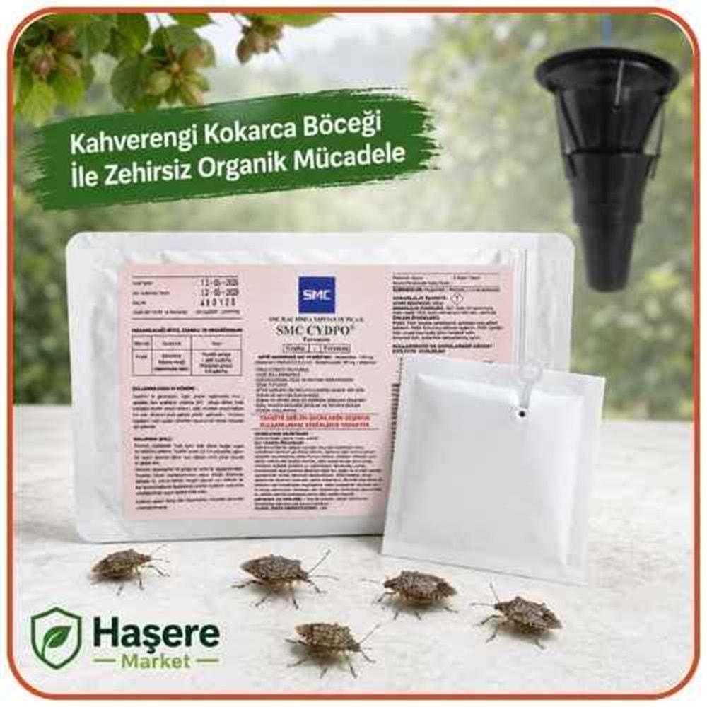 Kahverengi Kokarca Böceği Feromonu | Tuzaklar Ayrı Satılır