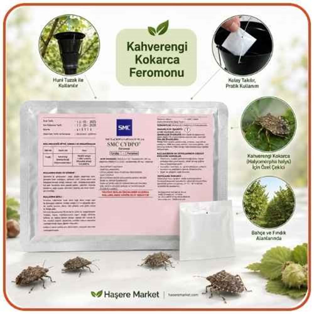 Kahverengi Kokarca Böceği Feromonu | Tuzaklar Ayrı Satılır