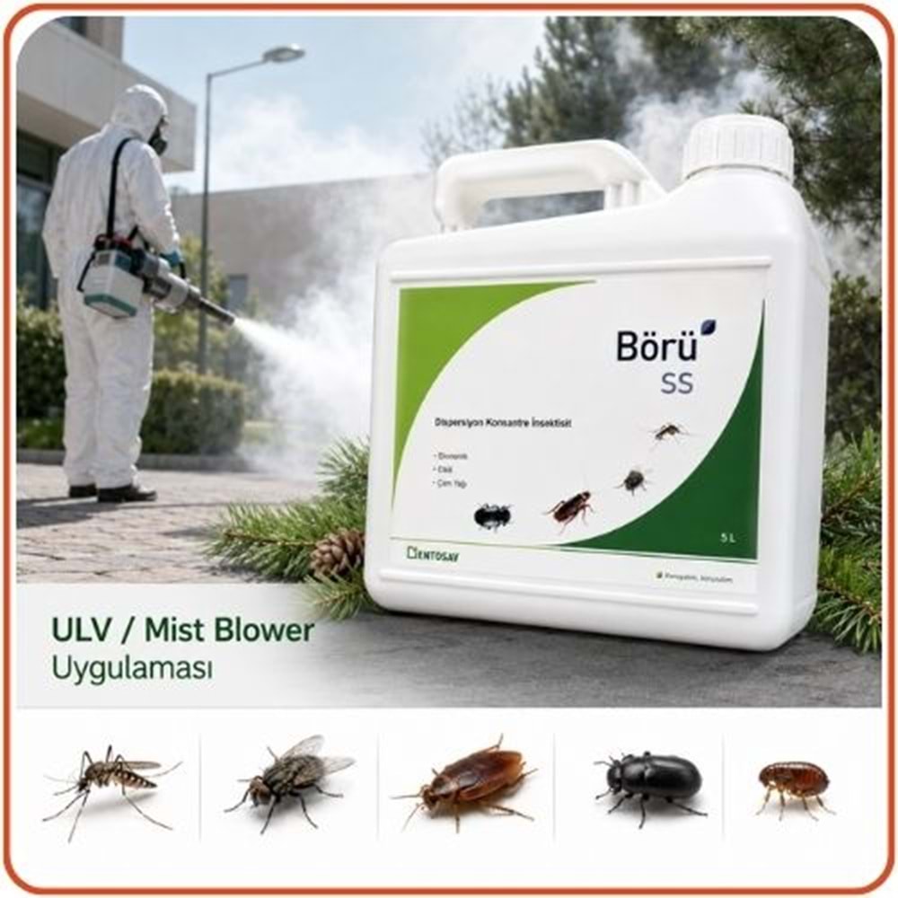 Börü SS Kokusuz Haşere Öldürücü | 5 Litre