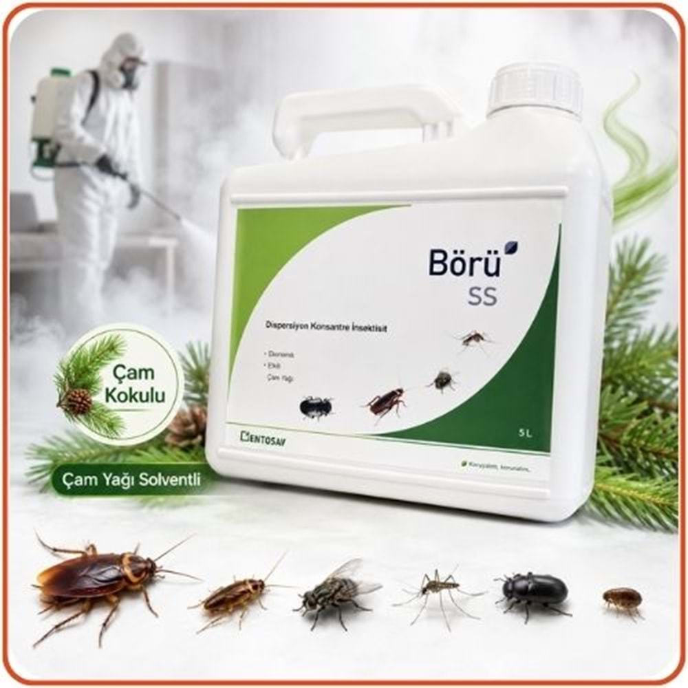 Börü SS Kokusuz Haşere Öldürücü | 5 Litre