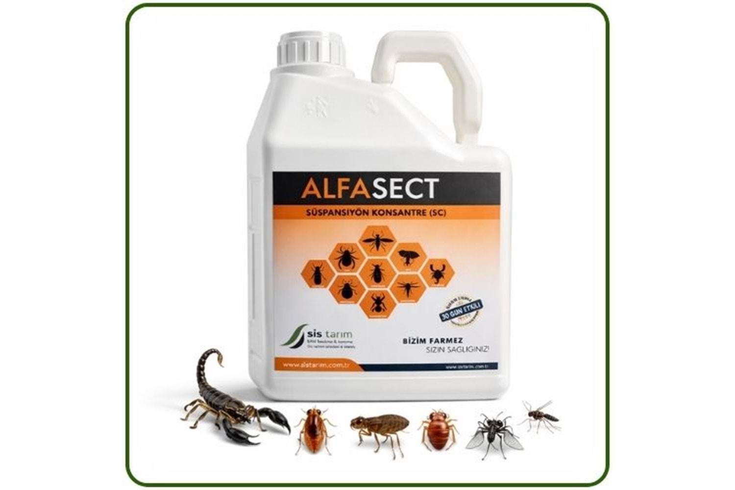 Alfa Sect SC Kokusuz Haşere Öldürücü | 25 ml