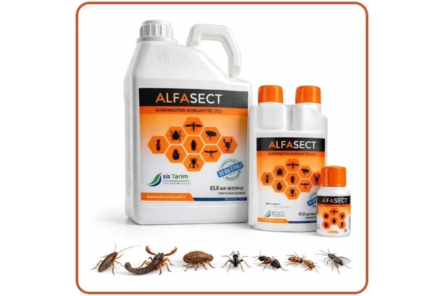 Alfa Sect SC Kokusuz Haşere Öldürücü | 25 ml