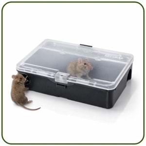 Fare Canlı Yakalama İstasyonu | Plastik