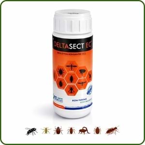 Delta Sect EC Kokulu Haşere Öldürücü | 5 Litre