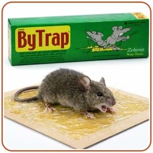 Bytrap Tüp Fare Yapışkan Tuzak | 75 ml