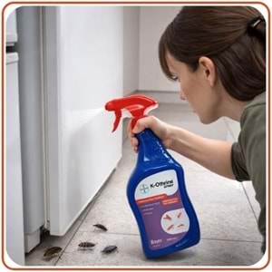 Bayer-Envu K-othrine AL Haşere Öldürücü Sprey | 500 ml