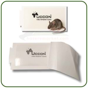 Uccon Karton Fare Yapışkan Tuzakları