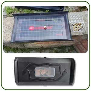 Yılan Kertenkele Yakalama İstasyonu | Yapışkan Tuzaklı