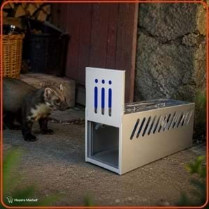 Kedi Canlı Yakalama Kafesi | Gelincik Sansar