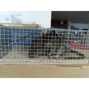 Kafes Sıçan Canlı Yakalama Kapanı