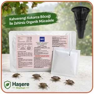Kahverengi Kokarca Böceği Feromonu | Tuzaklar Ayrı Satılır