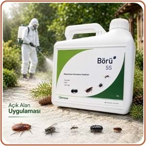 Börü SS Kokusuz Haşere Öldürücü | 5 Litre