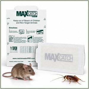 Max-catch Karton Fare Yapışkan Tuzakları