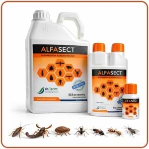 Alfa Sect SC Kokusuz Haşere İlacı | 5 litre